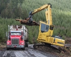 Swing Machine lifting logs into truck